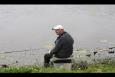 IMG 7074