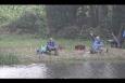 IMG 7087
