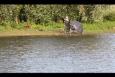 IMG 7219