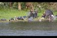 IMG 7220