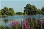 Uitnodiging: Help ons viswater de Bloem opfrissen!